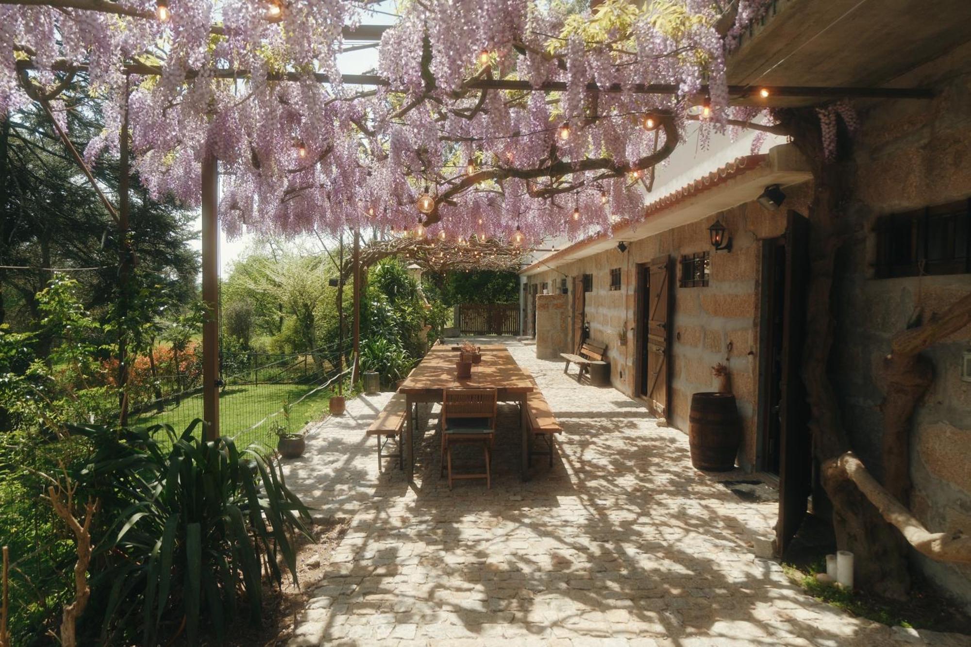 Casa Da Alvarinha Privacidade Conforto Natureza 帕雷德斯 外观 照片
