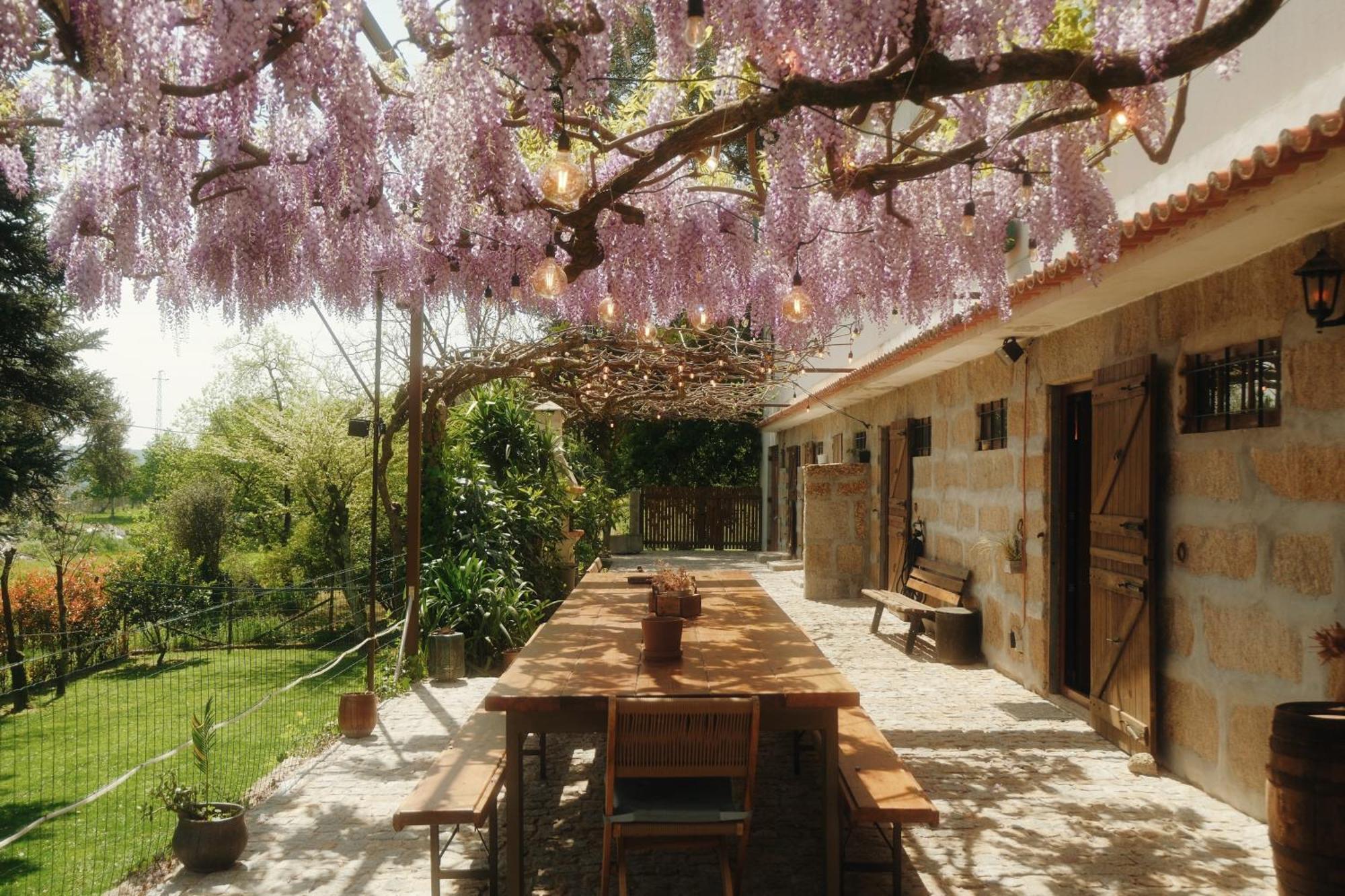 Casa Da Alvarinha Privacidade Conforto Natureza 帕雷德斯 外观 照片